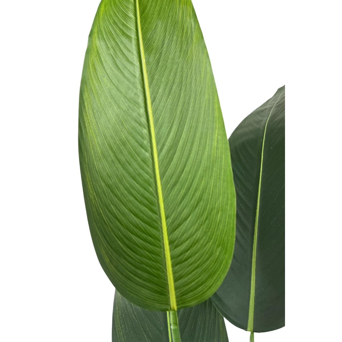 Künstliche Strelitzia-Pflanze mit Blüte 180 cm