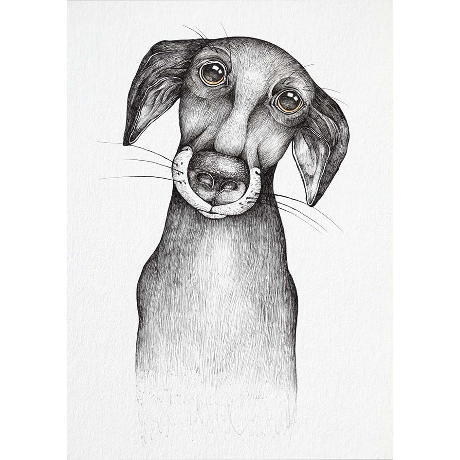 Postkarten – 20er-Set – Mische