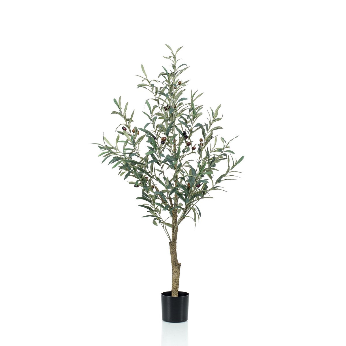 Art Olivenbaum - Olea Europaea - Olivenbaum - 115 cm