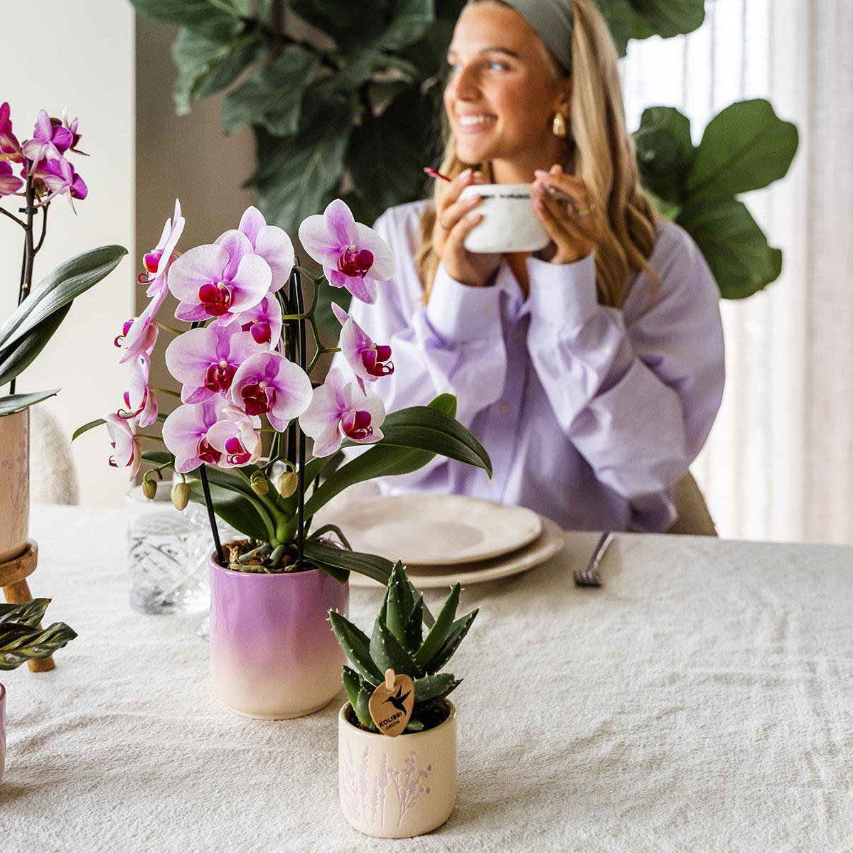 Kolibri-Startseite | Gradience Siertopf - Rosa - Ø6cm