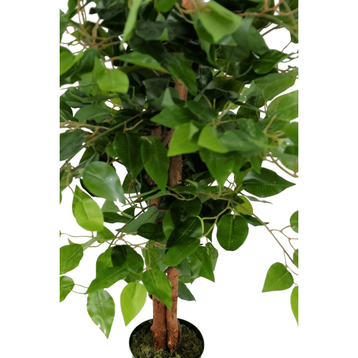 Künstlicher Ficusbaum 90 cm