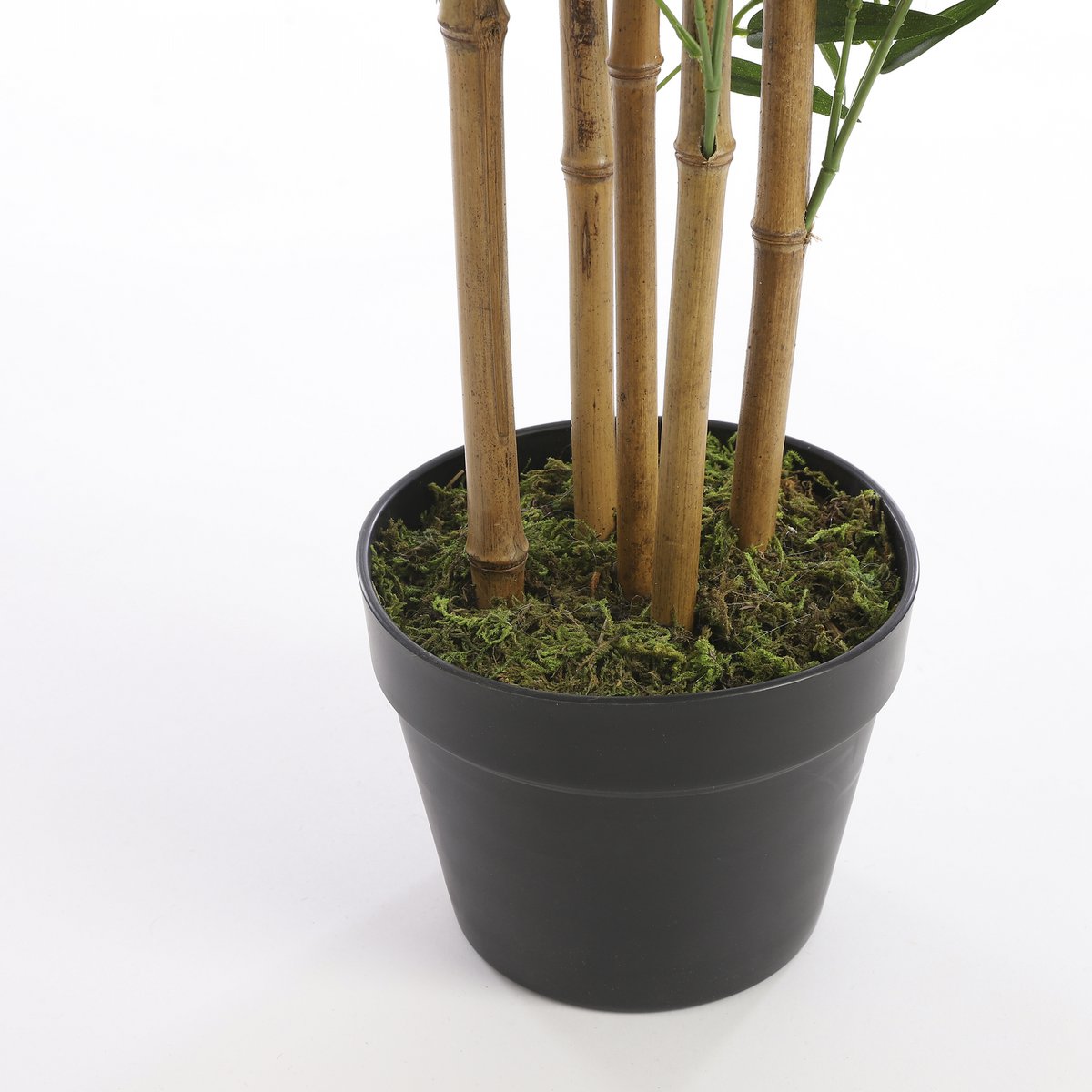 Künstliche Bambuspflanze – H155 x Ø90 cm – Grün – Tannendiele BlumenGut Düsseldorf