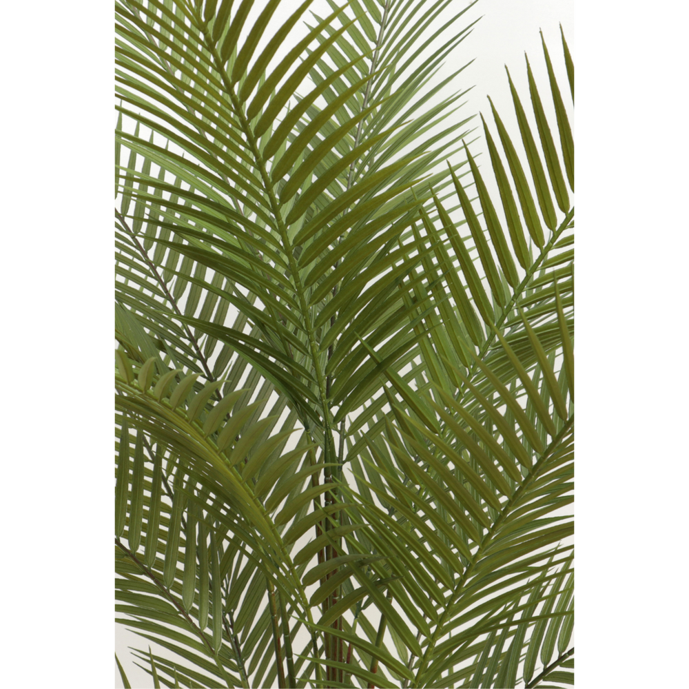 
                      
                        Künstliche Palme 150cm
                      
                    