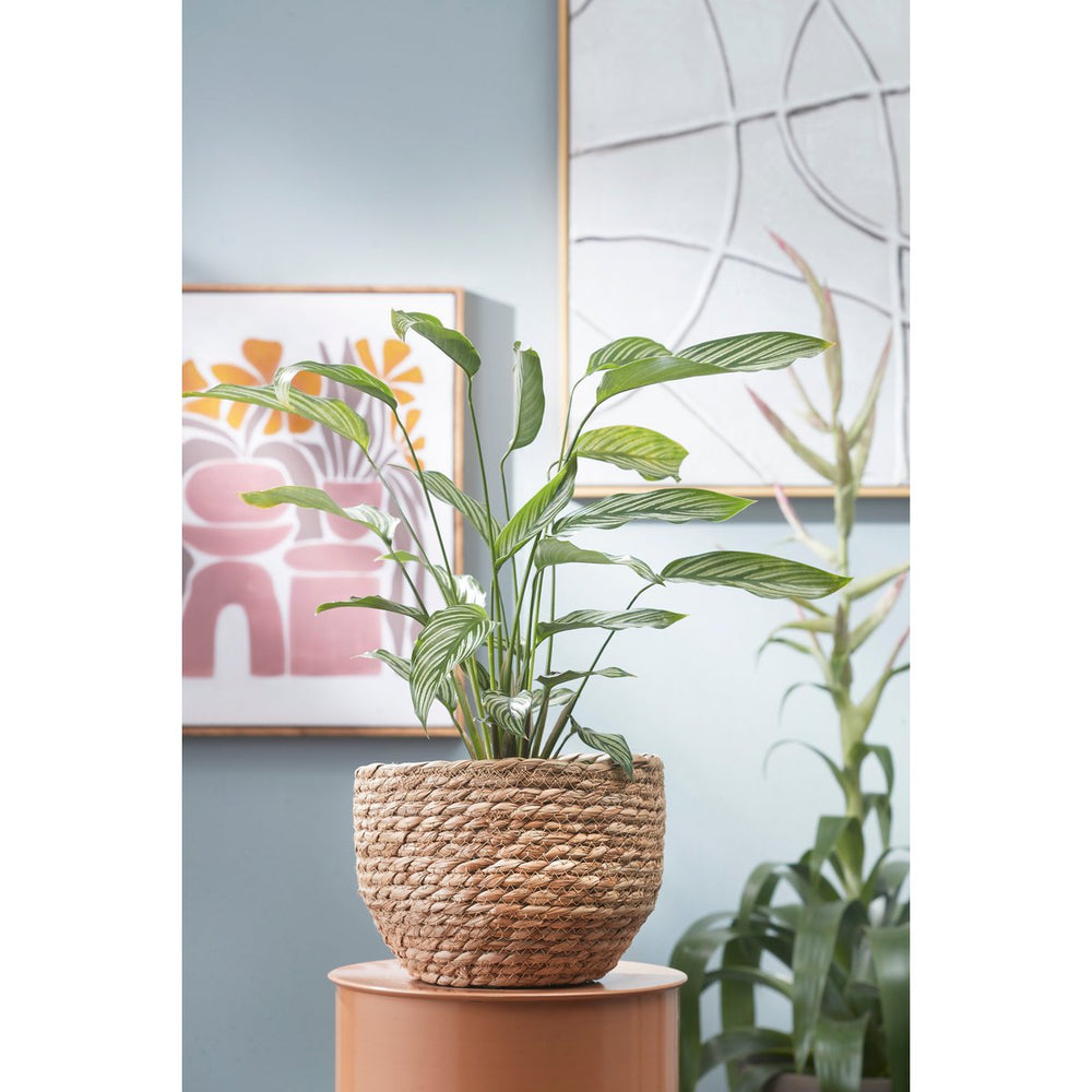 
                      
                        Jorck Pflanzkorb – 3er-Set – H24 x Ø26 cm – Seegras – Hellbraun
                      
                    