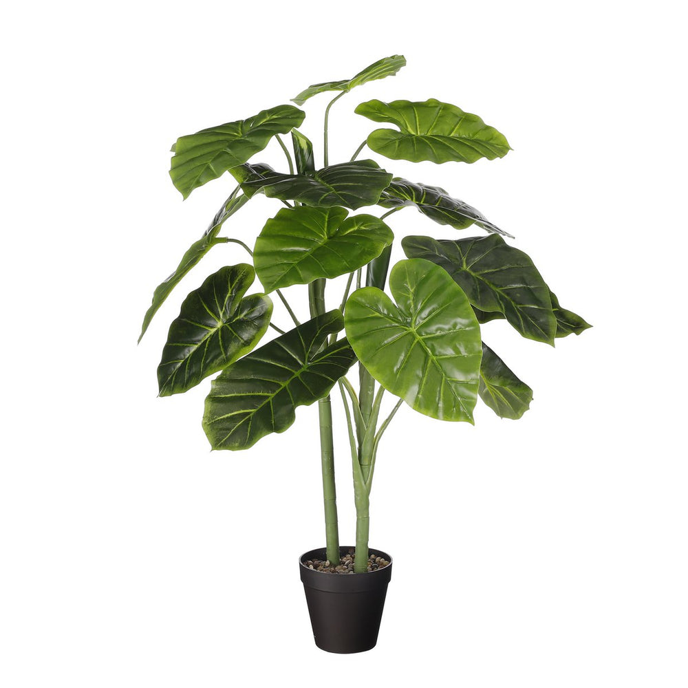 
                      
                        Künstliche Pflanze Alocasia im Blumentopf – H100 x Ø50 cm – Grün
                      
                    