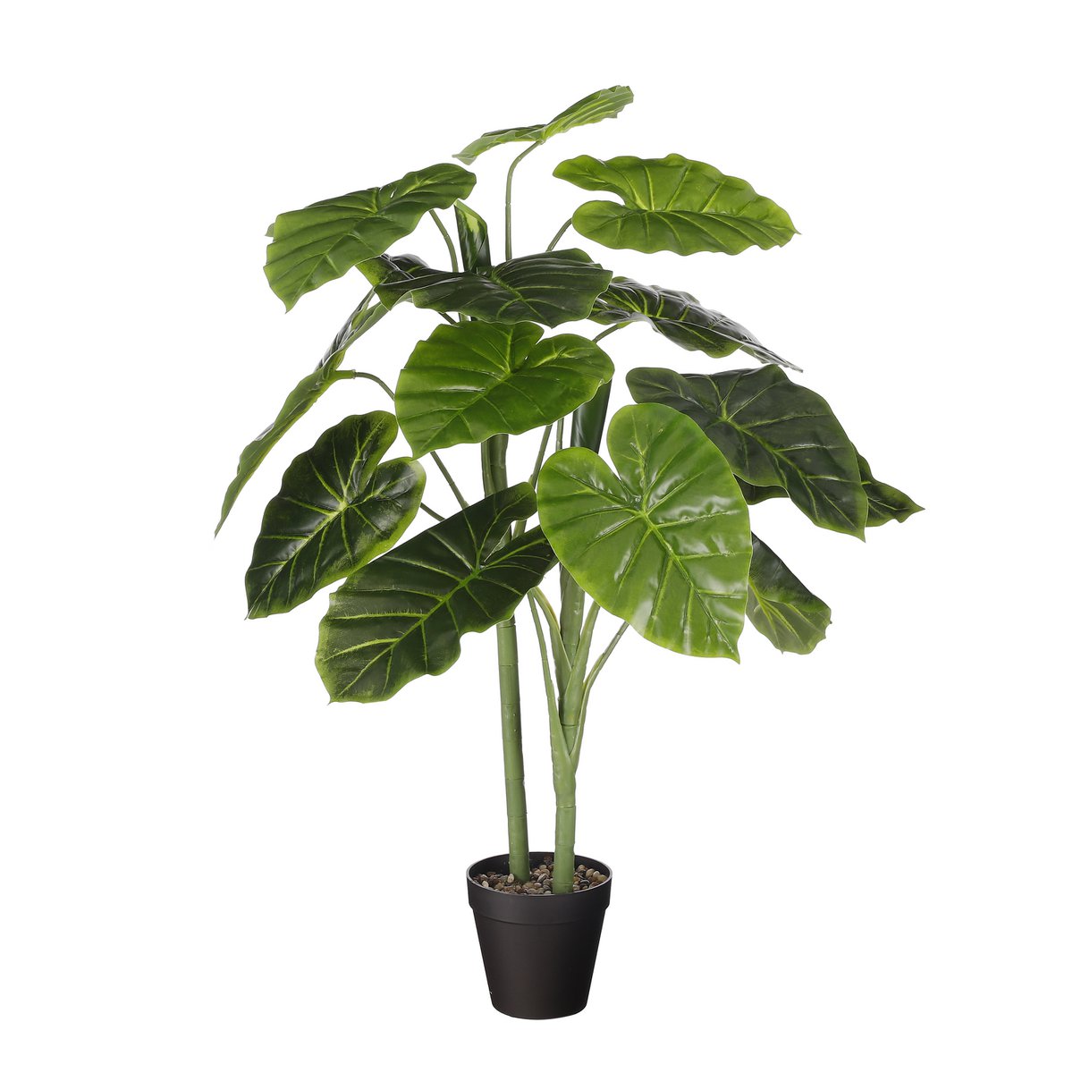 Künstliche Pflanze Alocasia im Blumentopf – H100 x Ø50 cm – Grün