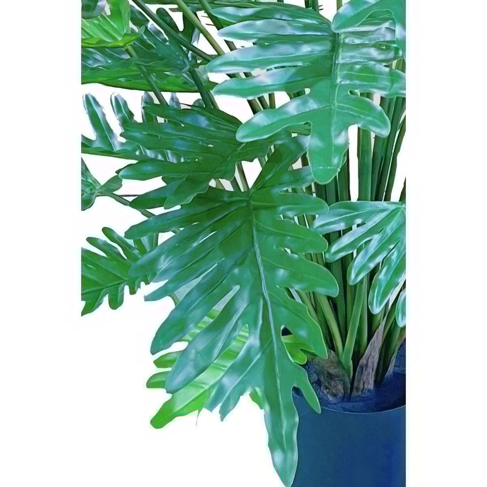 
                      
                        Philodendron Kunstplant 75cm
                      
                    