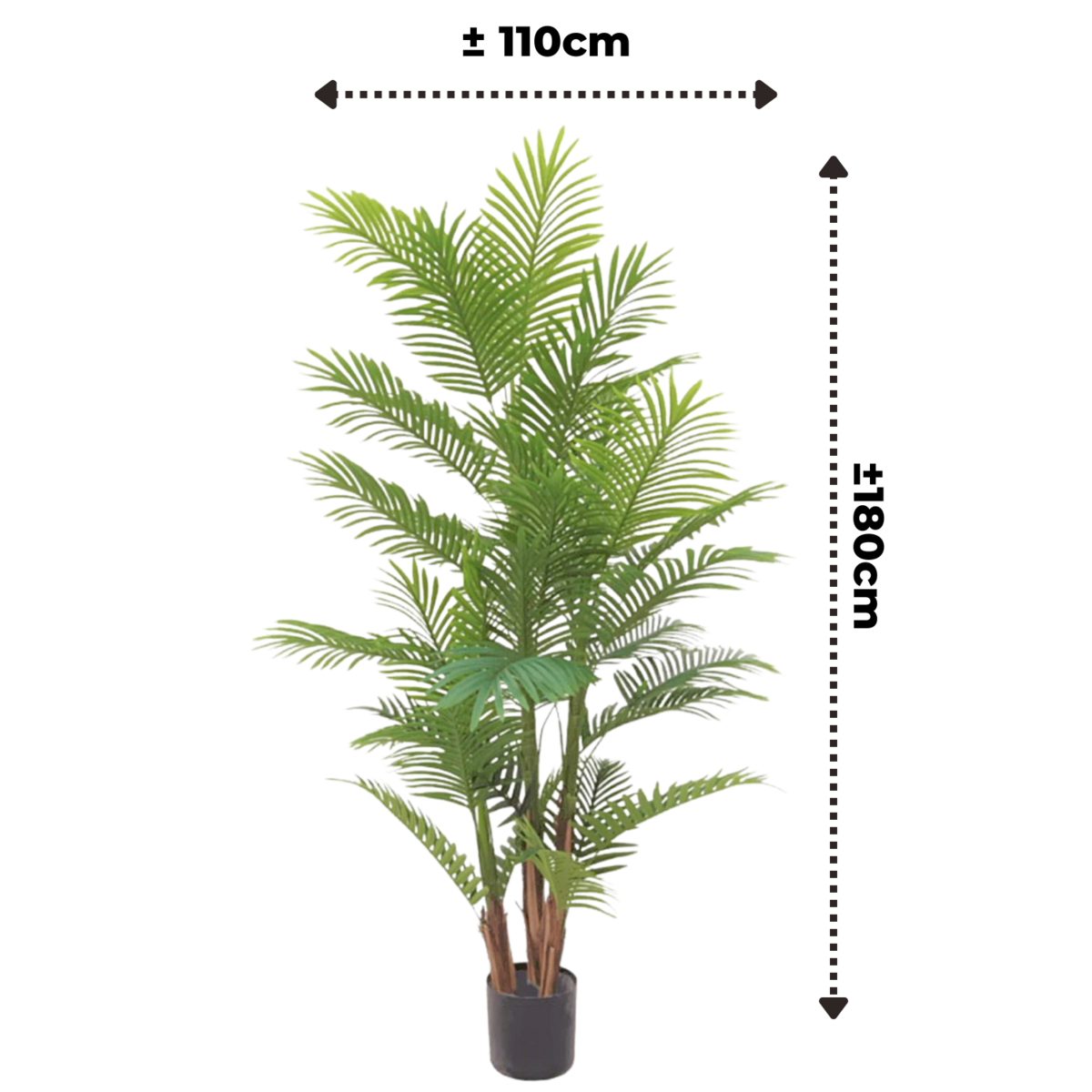 Künstliche Palme 180cm – Tannendiele BlumenGut Düsseldorf