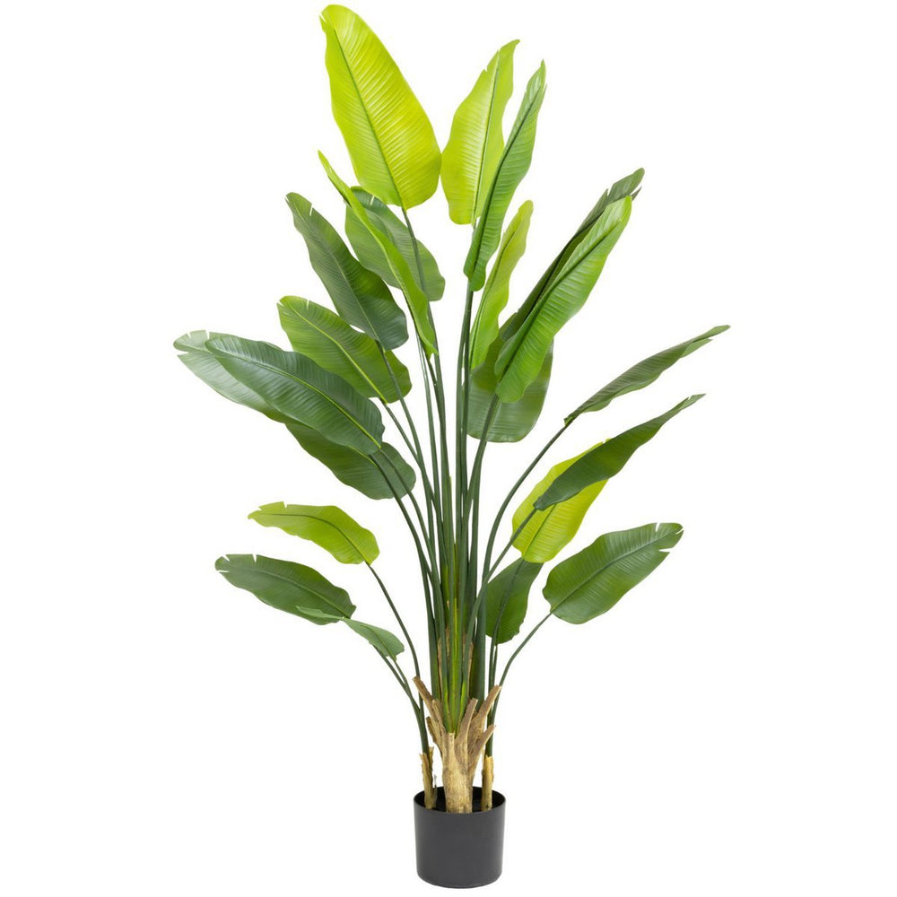 
                      
                        Künstliche Strelitzia-Pflanze 210 cm
                      
                    