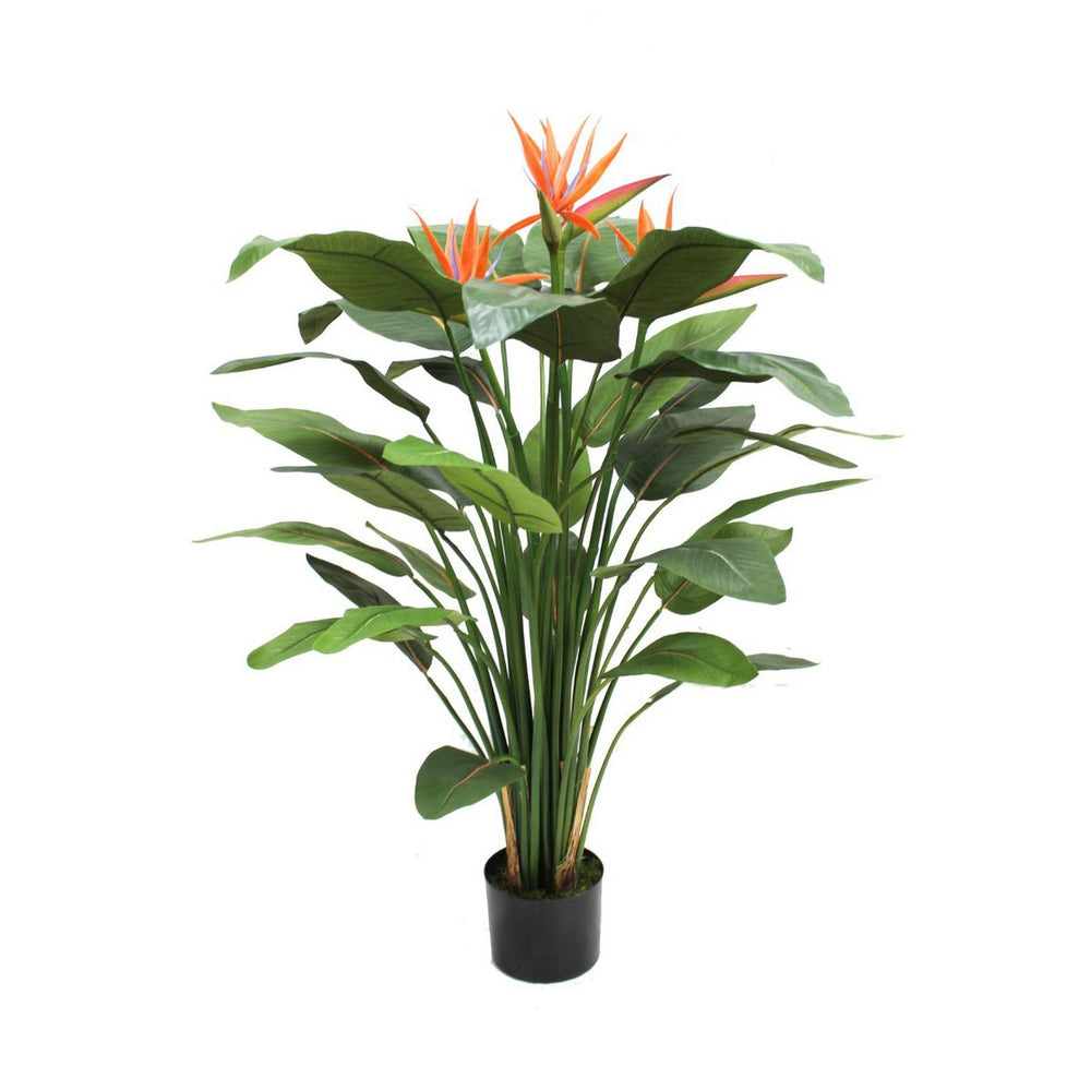 
                      
                        Strelitzia Kunstpflanze 120cm mit Blüte
                      
                    