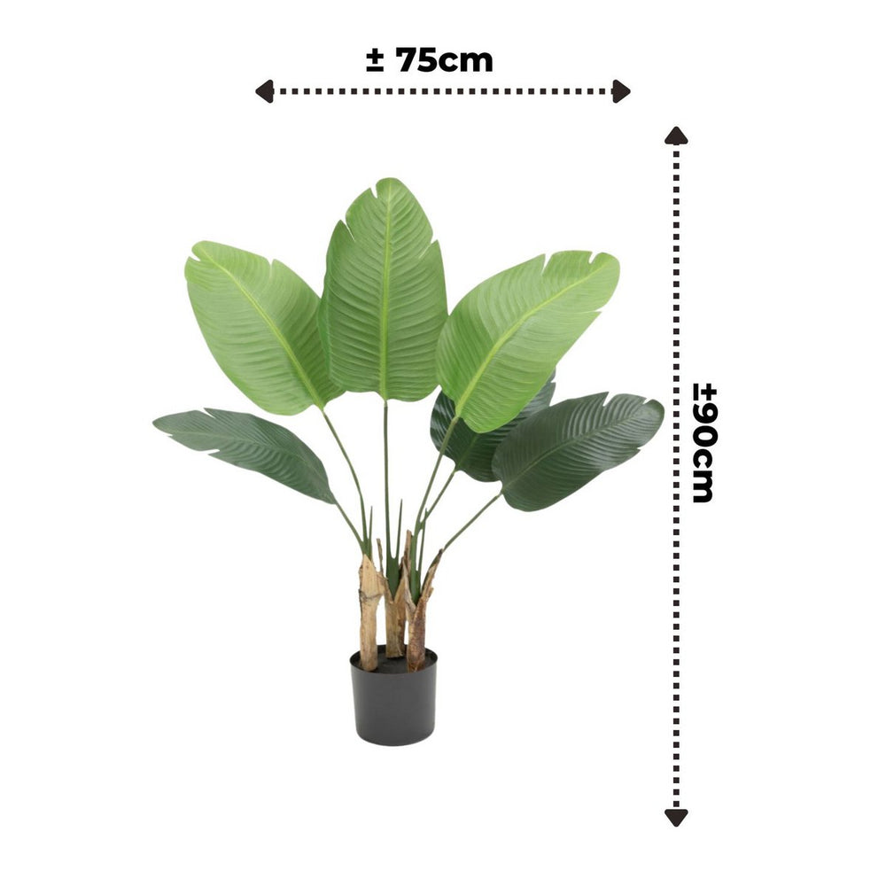 
                      
                        Strelitzia Kunstplant 90cm
                      
                    