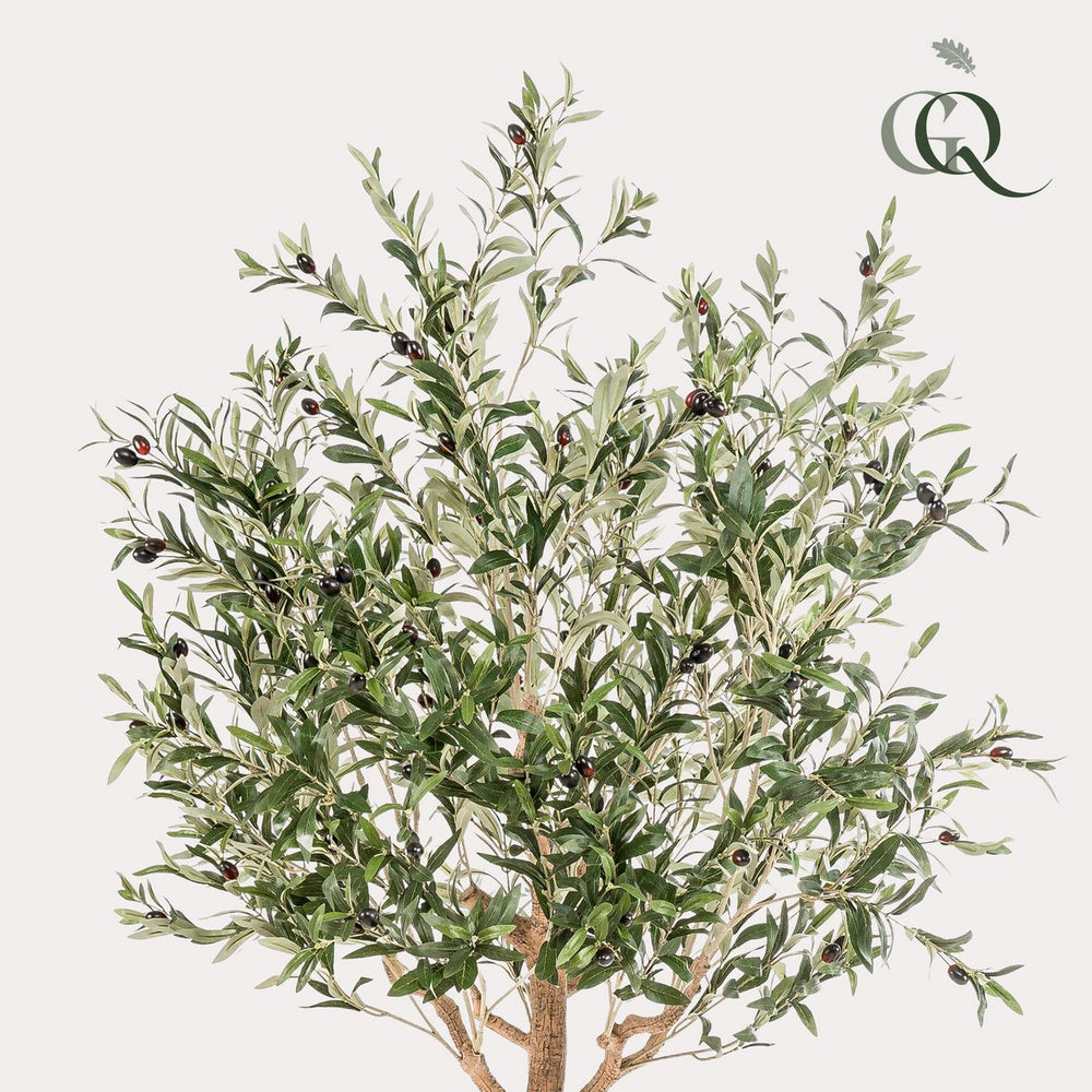 kunst olivenbaum Kunst Olivenbaum - Olea Europaea - Olivenbaum