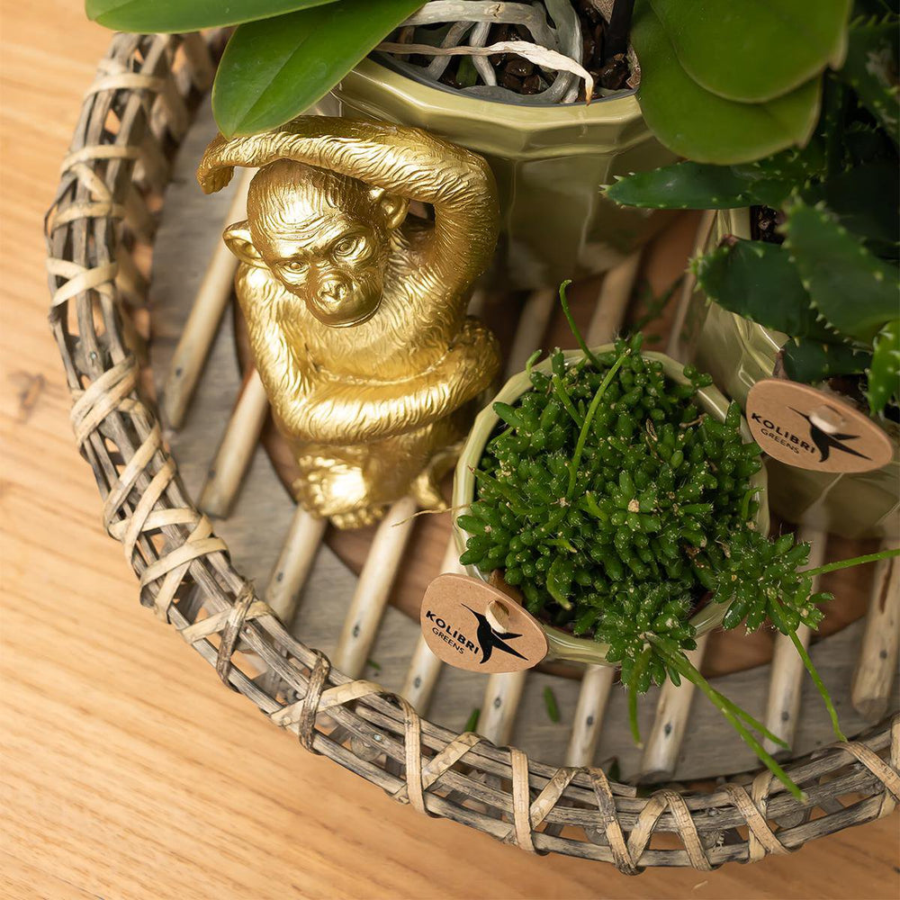 
                      
                        Sitzender Affe - Gold
                      
                    