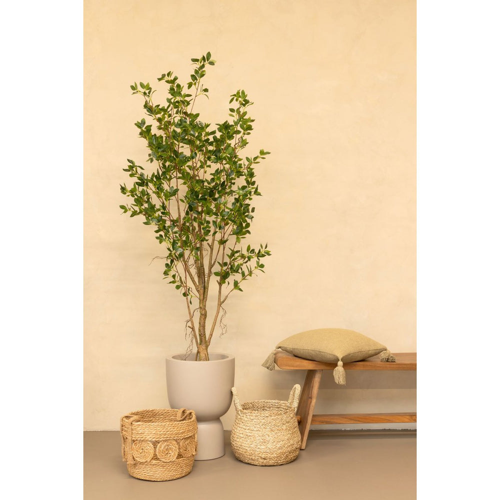 
                      
                        Ficus Kunstpflanze 180cm
                      
                    