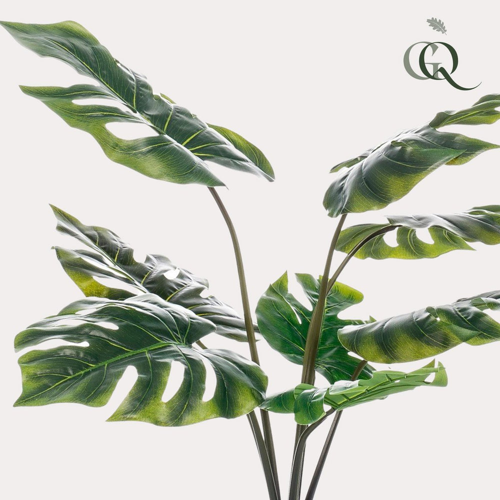 
                      
                        Monstera Deliciosa - Kunstpflanze - 65 cm
                      
                    