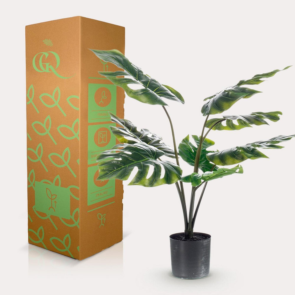 
                      
                        Monstera Deliciosa - Kunstpflanze - 65 cm
                      
                    