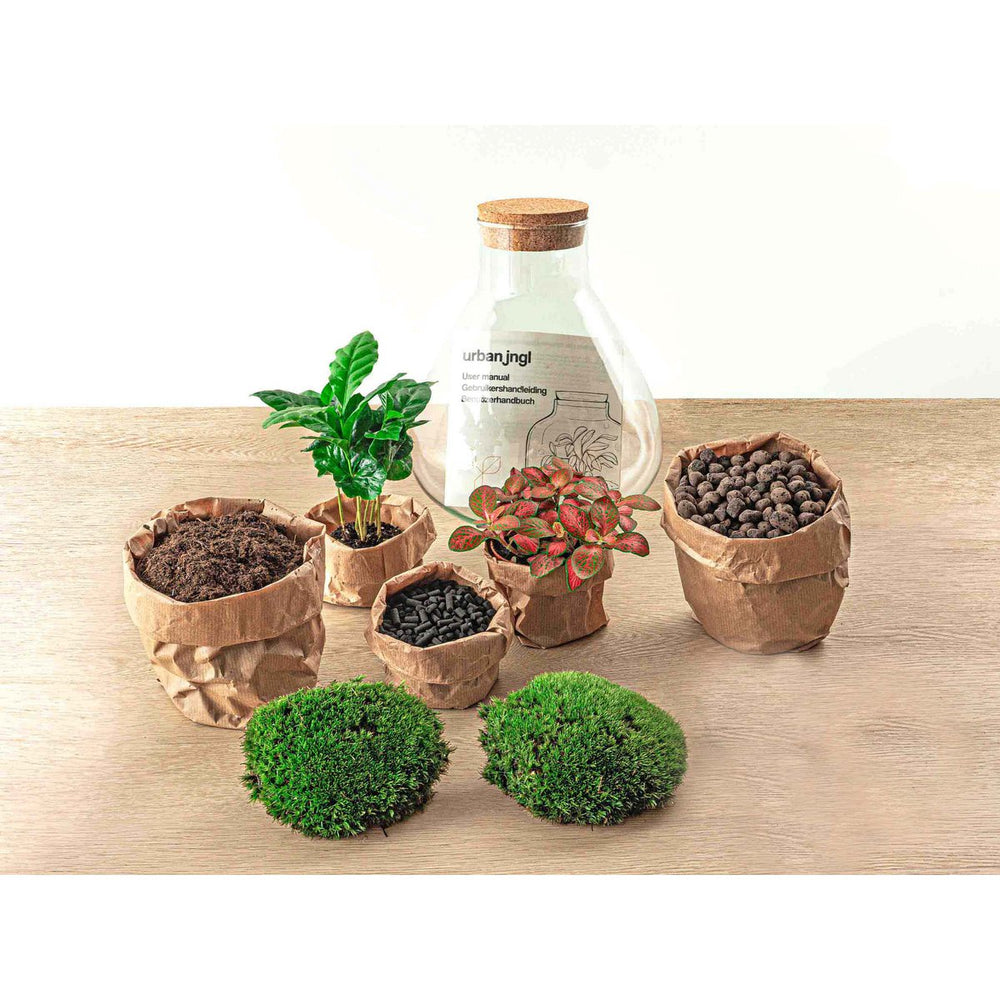 
                      
                        Terrarium-Bausatz – Sammie – Flaschengarten – ↑ 27 cm
                      
                    