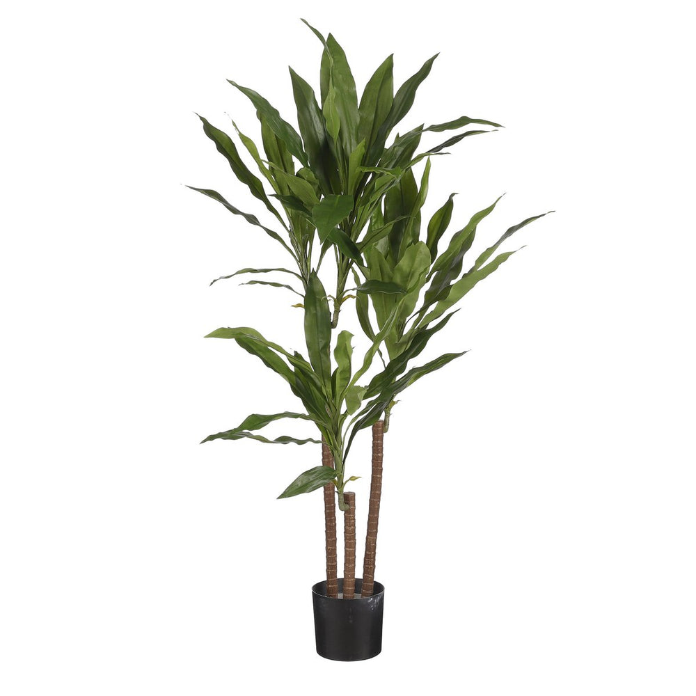 
                      
                        Künstliche Dracaena-Pflanze - H100 x Ø70 cm
                      
                    