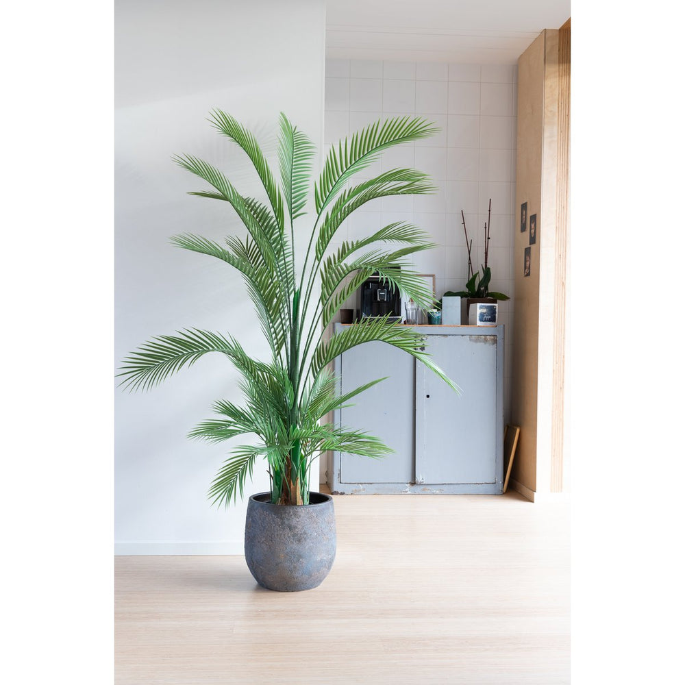 
                      
                        Künstliche Palme 180cm
                      
                    