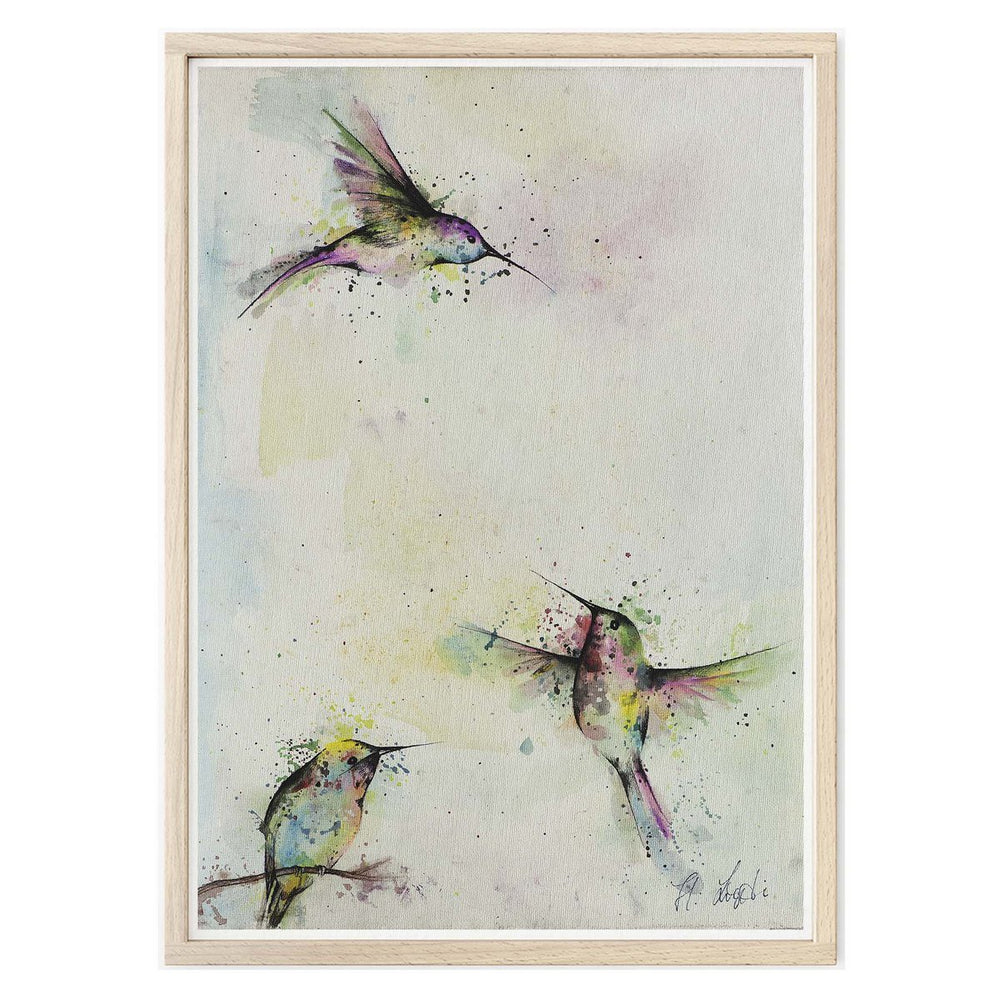 Kunstdruck - Drei Kolibris