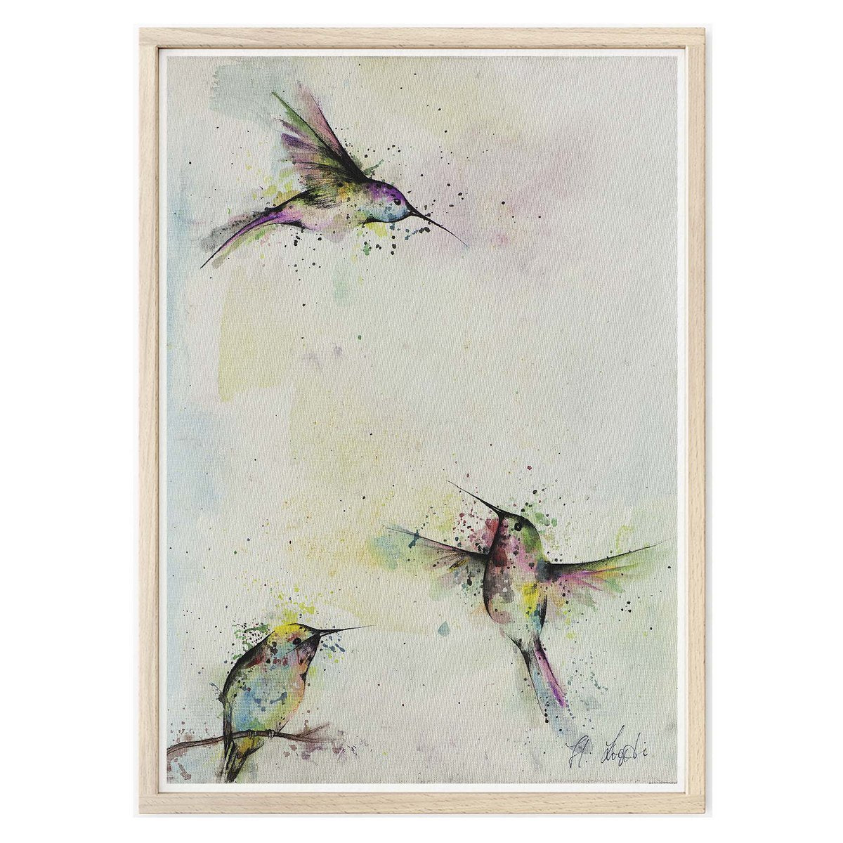Kunstdruck - Drei Kolibris