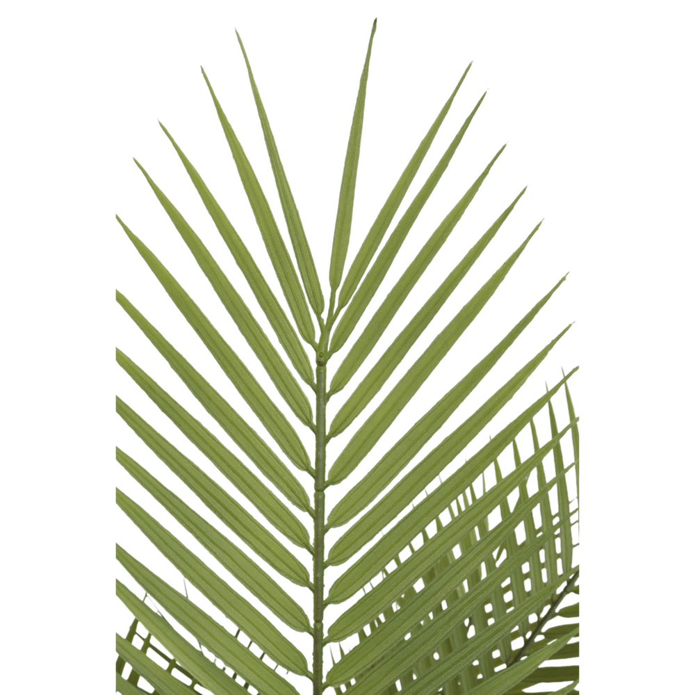 
                      
                        Künstliche Palme 150cm
                      
                    