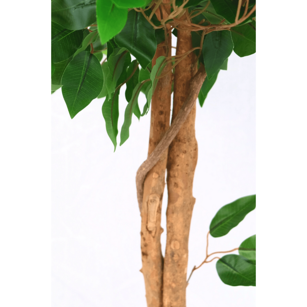 
                      
                        Künstlicher Ficus 130cm
                      
                    