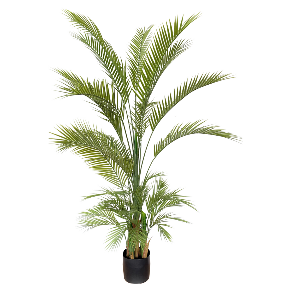 
                      
                        Künstliche Palme 180cm
                      
                    