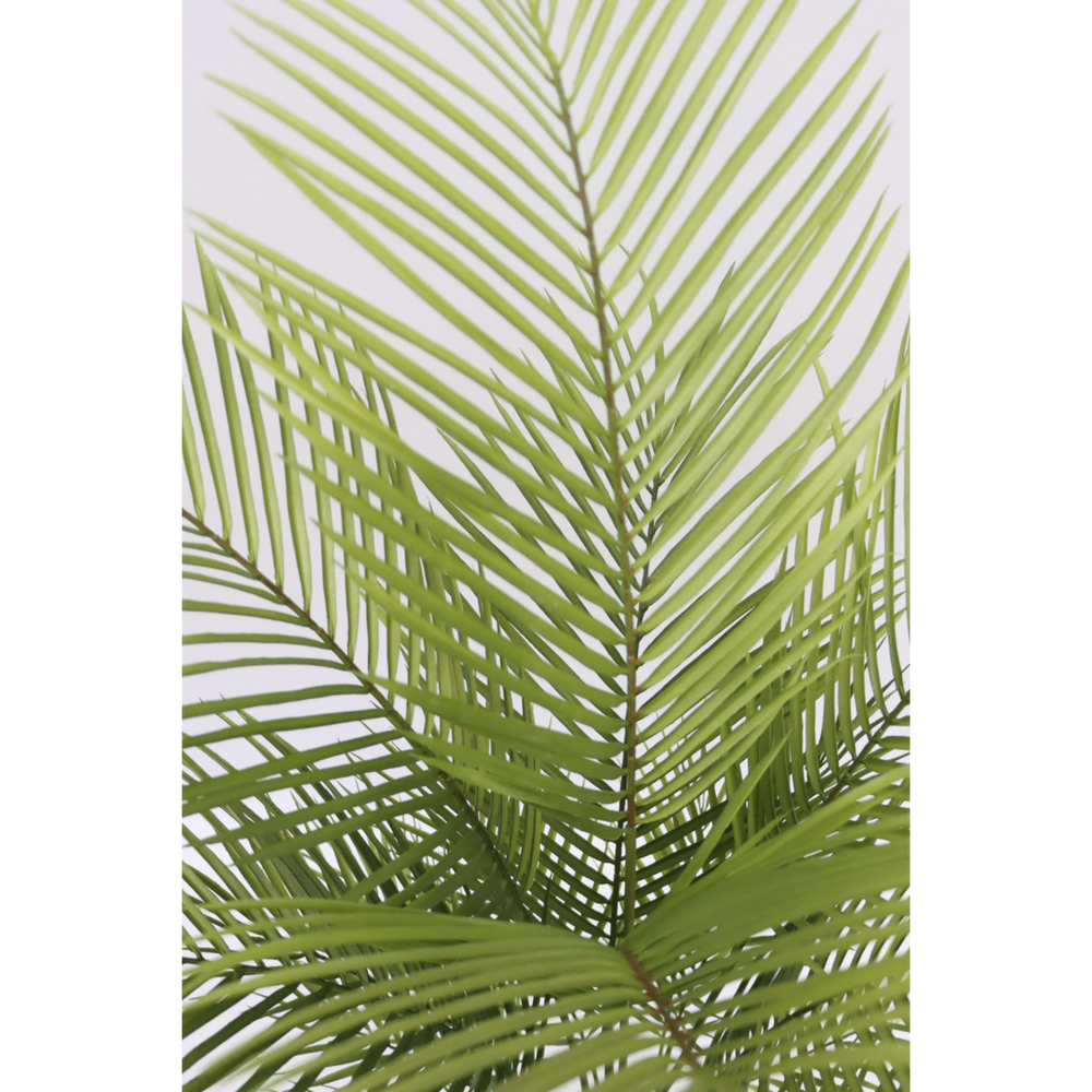 
                      
                        Künstliche Palme 120cm
                      
                    