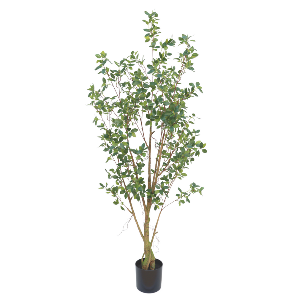 
                      
                        Ficus Kunstpflanze 180cm
                      
                    