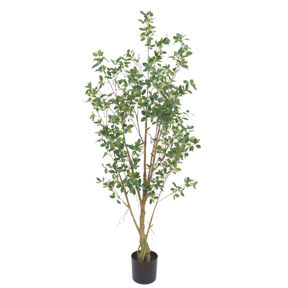 Ficus Kunstpflanze 180cm