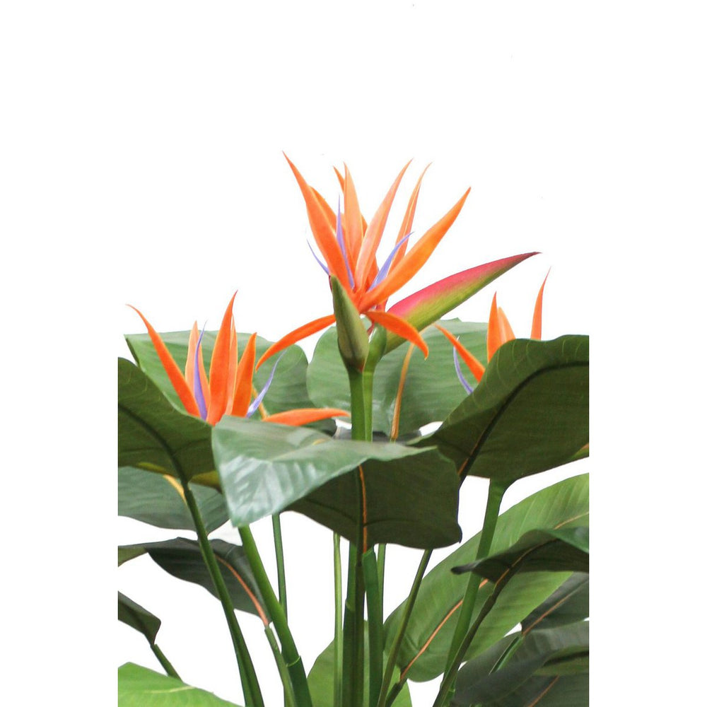 
                      
                        Strelitzia Kunstpflanze 120cm mit Blüte
                      
                    