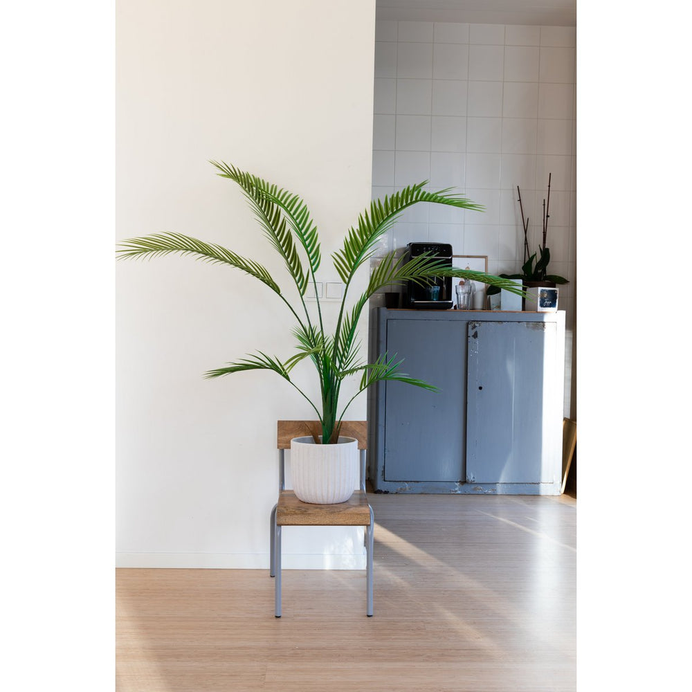 
                      
                        Künstliche Palme 130cm
                      
                    