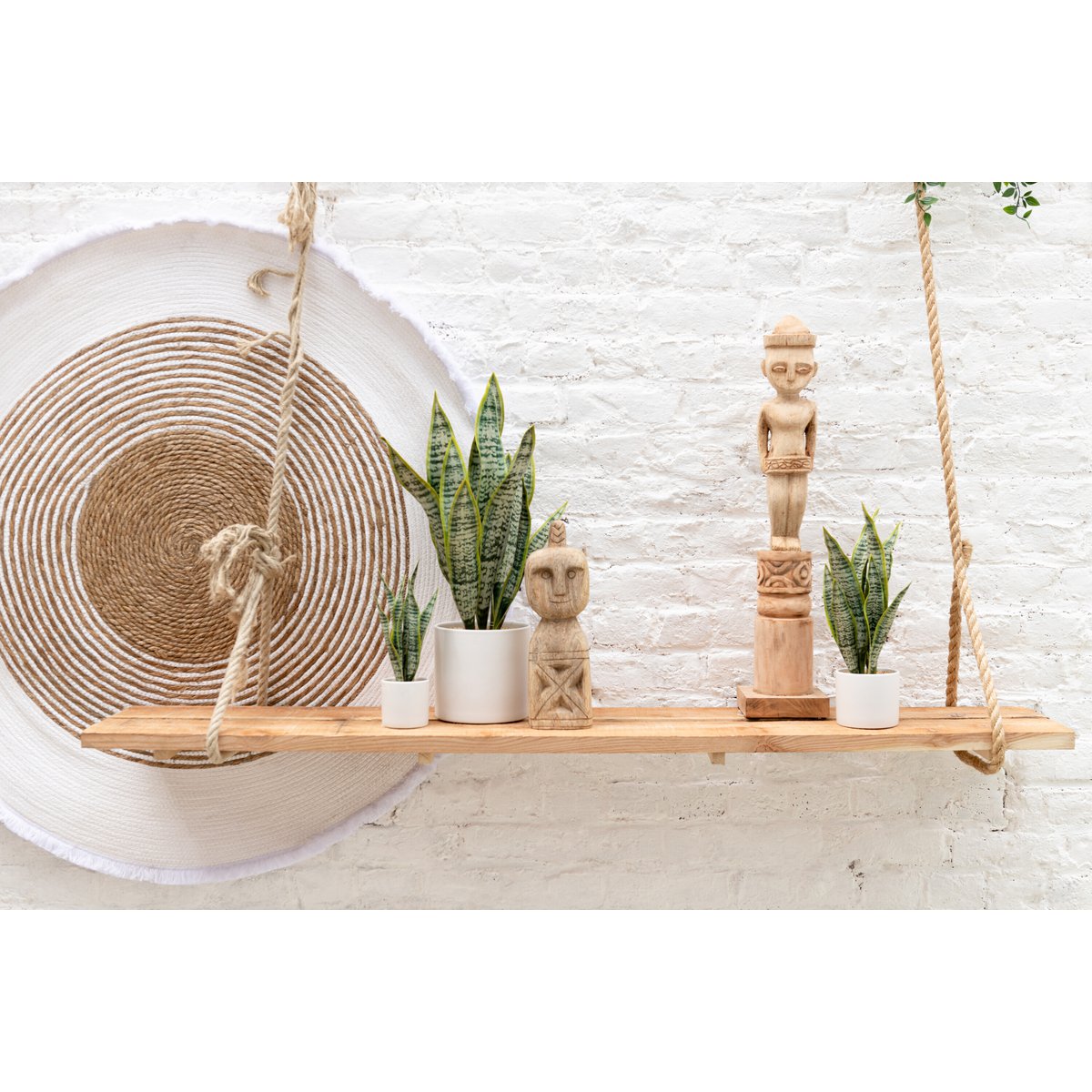 Sansevieria im Topf PVC Grün Groß