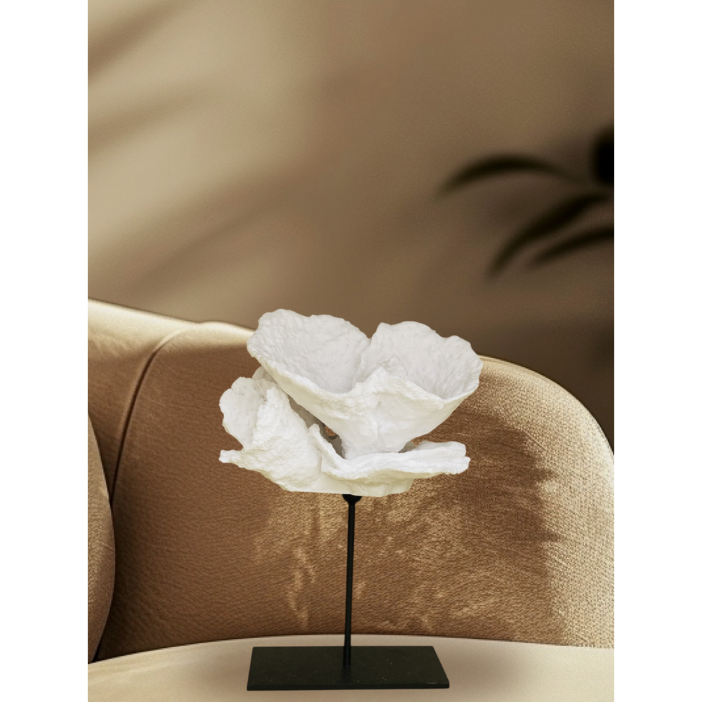 
                      
                        Korallenblume
                      
                    