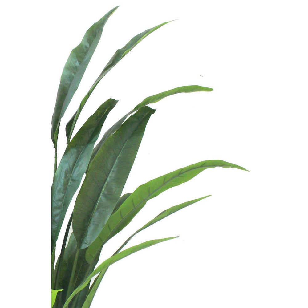 
                      
                        Strelitzia Kunstpflanze 160cm
                      
                    