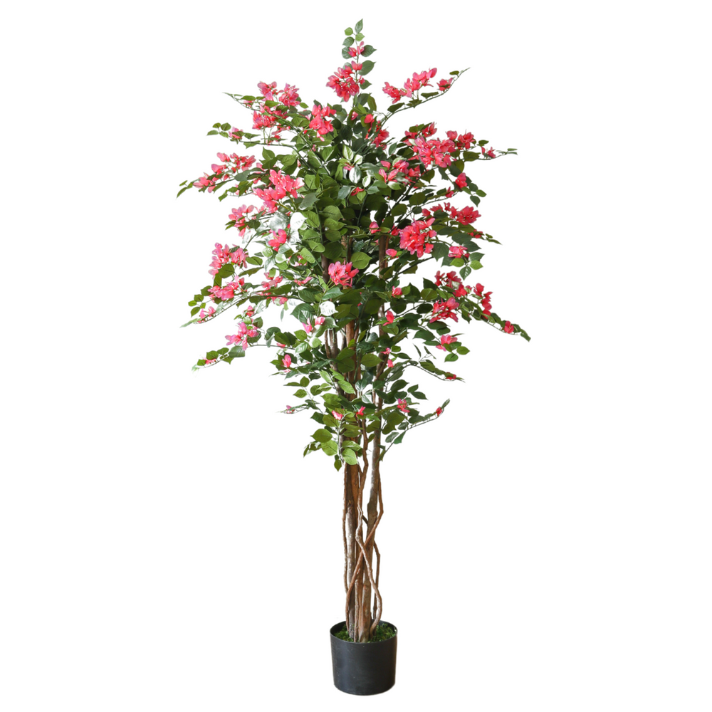 
                      
                        Bougainvillea Kunstpflanze 150cm
                      
                    