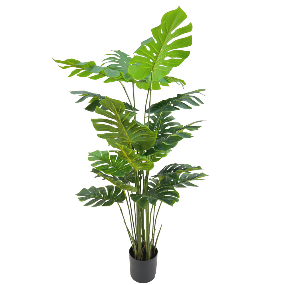 
                      
                        Monstera Kunstpflanze 165cm
                      
                    