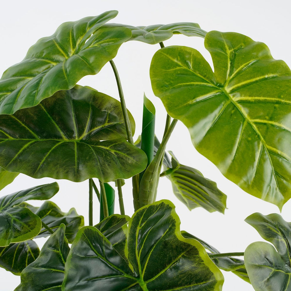 
                      
                        Künstliche Pflanze Alocasia im Blumentopf – H100 x Ø50 cm – Grün
                      
                    