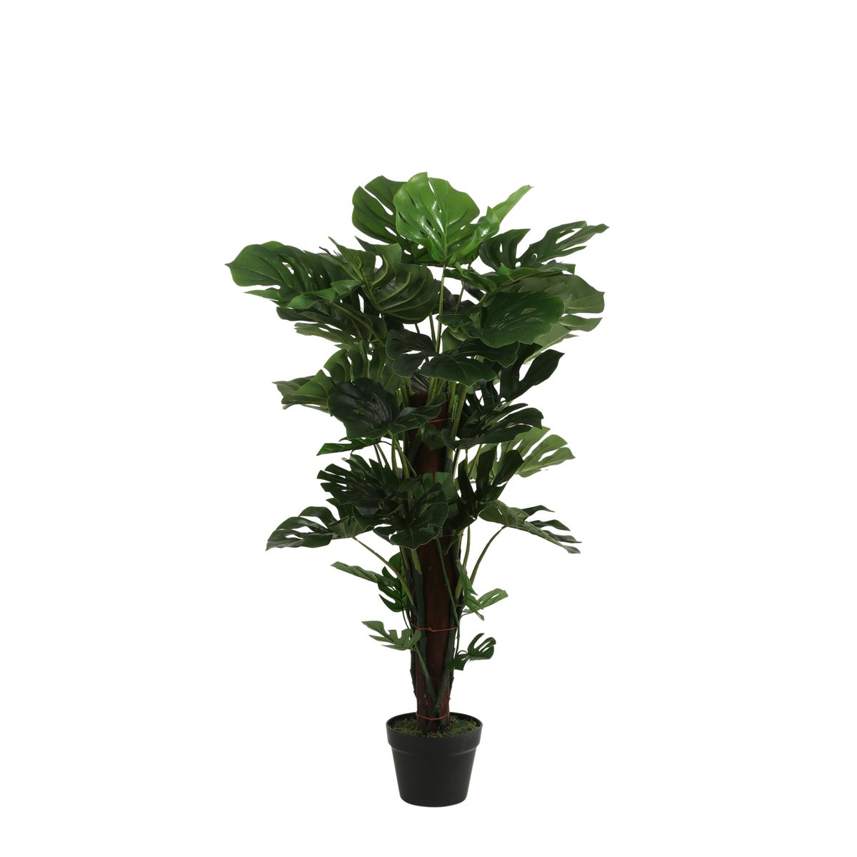 Künstliche Pflanze Monstera – H105 x Ø60 cm – Grün