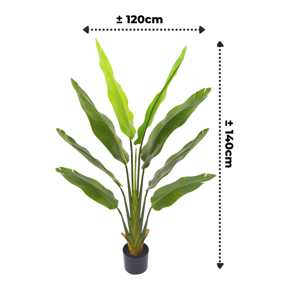 
                      
                        Künstliche Strelitzia-Pflanze 140 cm
                      
                    