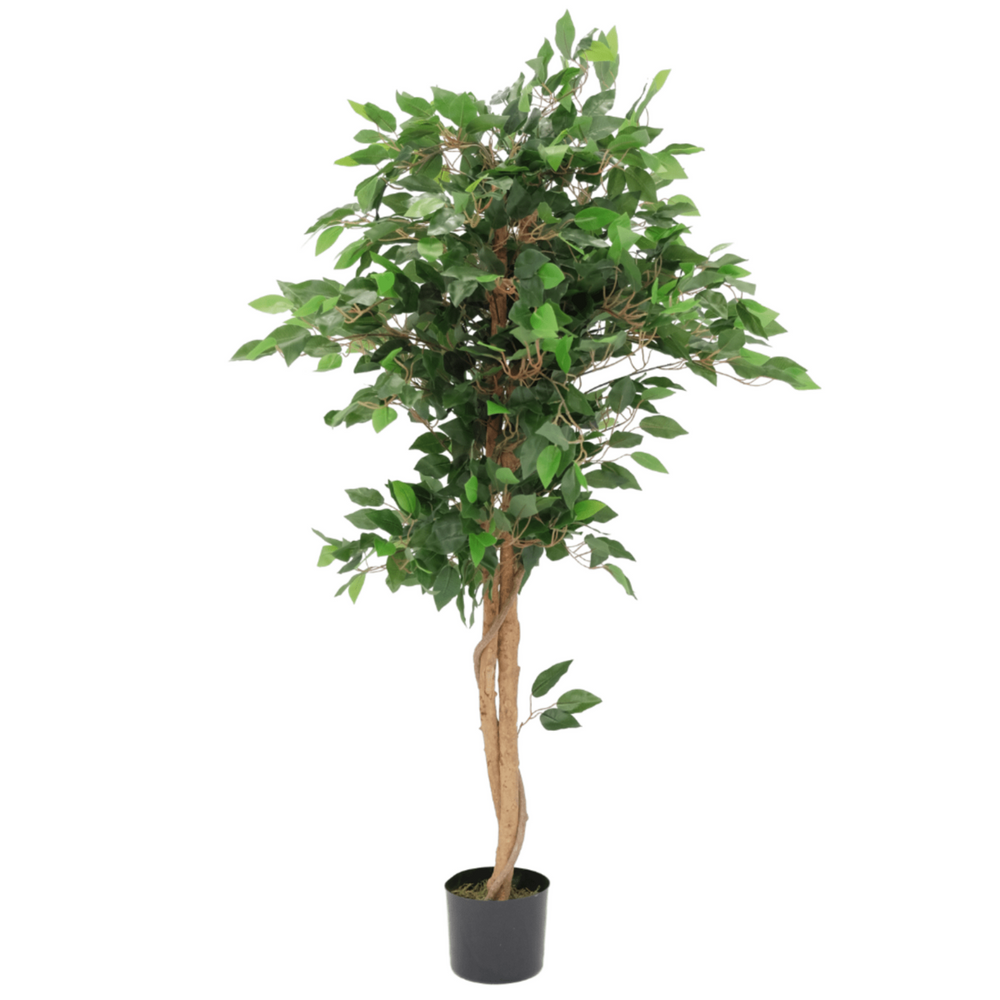 
                      
                        Künstlicher Ficus 130cm
                      
                    