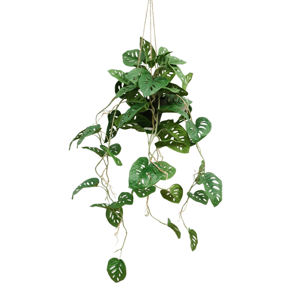 
                      
                        Künstliche Hängepflanze Monstera Monkey Bush, 95 cm
                      
                    