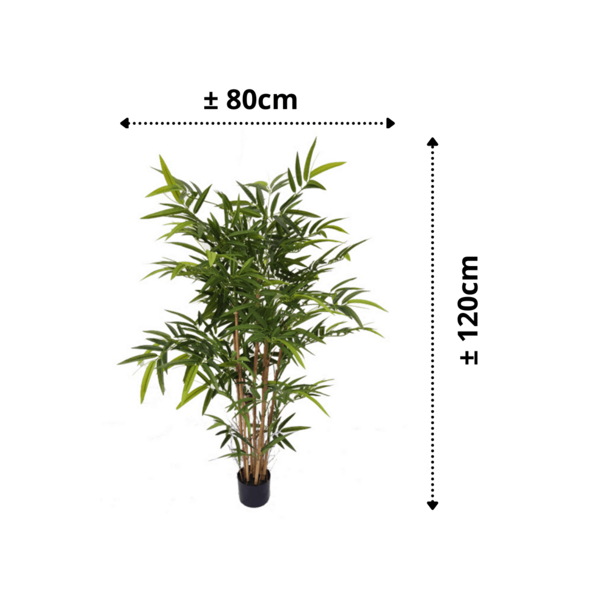 Künstliche Bambuspflanze B 120 cm – Tannendiele BlumenGut Düsseldorf