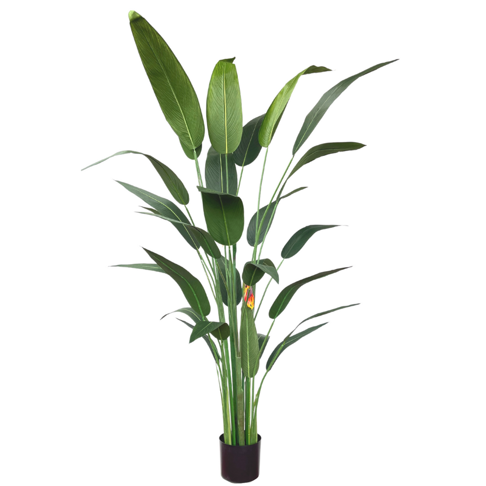 
                      
                        Künstliche Strelitzia-Pflanze mit Blüte 180 cm
                      
                    