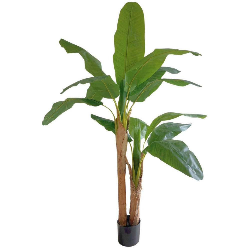 
                      
                        Kunst Bananenplant 150cm
                      
                    