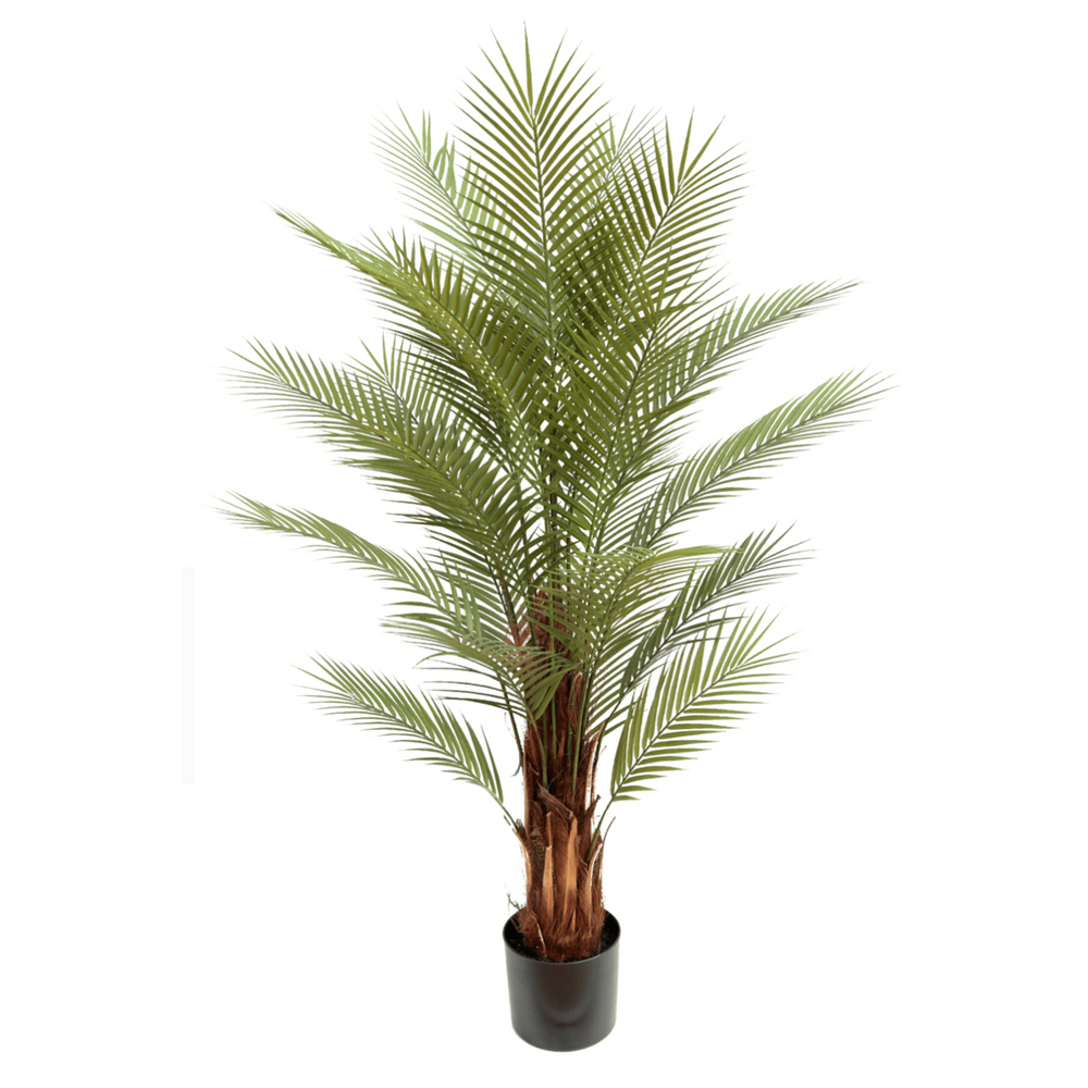 
                      
                        Künstliche Palme 150cm
                      
                    