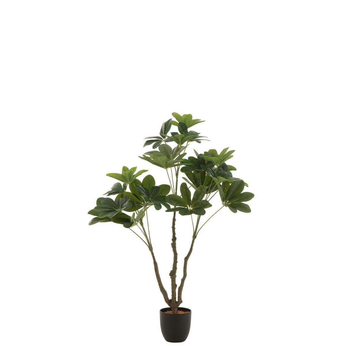 Kunstpflanze Geldbaum im Topf, grün, klein