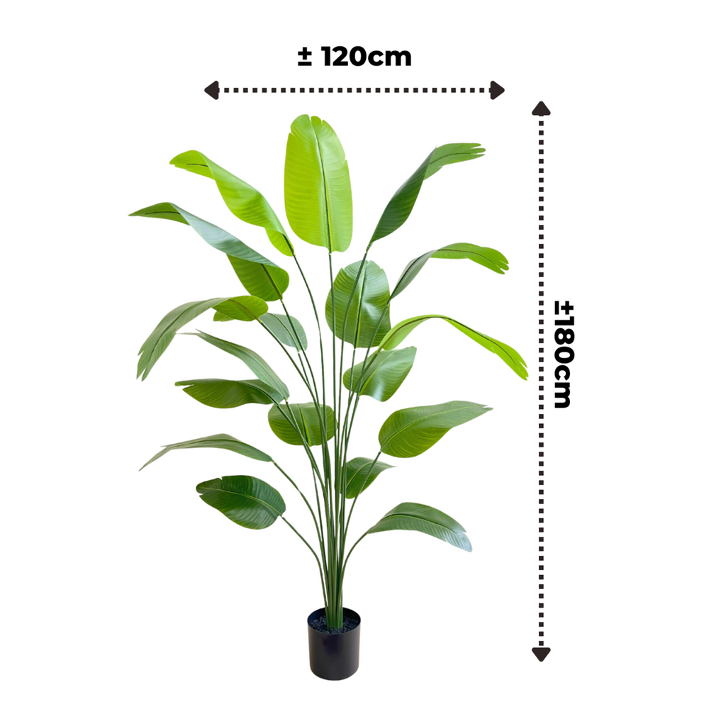 
                      
                        Künstliche Bananenpflanze 180 cm
                      
                    