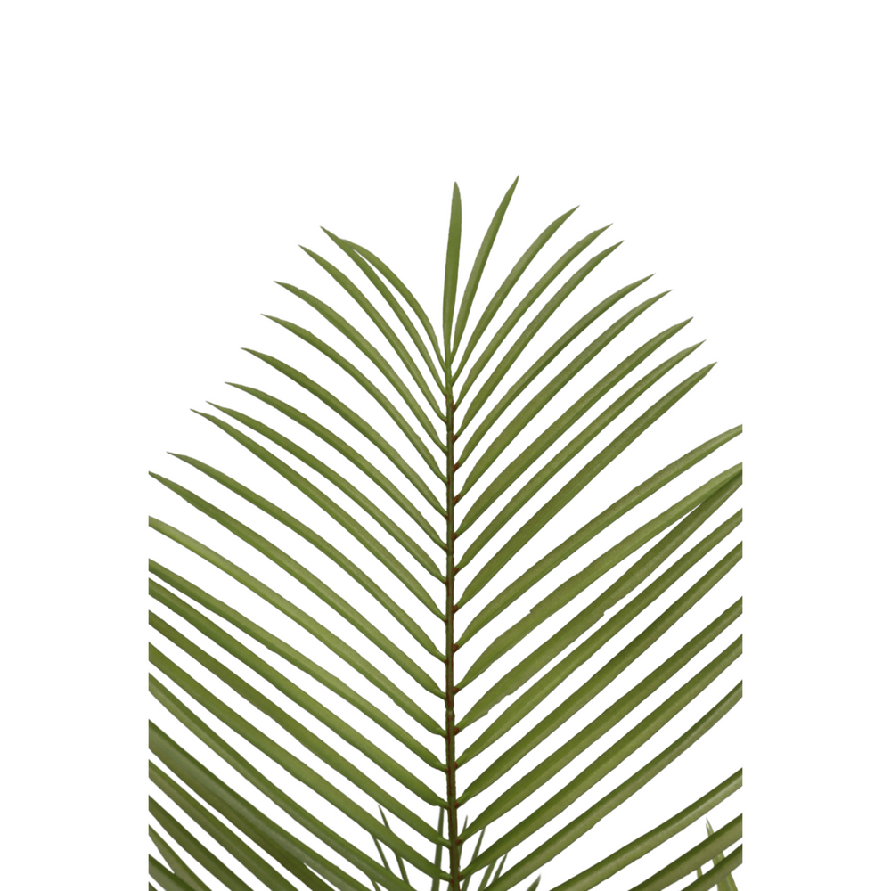 
                      
                        Künstliche Palme 150cm
                      
                    